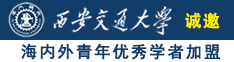 浪货公公诚邀海内外青年优秀学者加盟西安交通大学